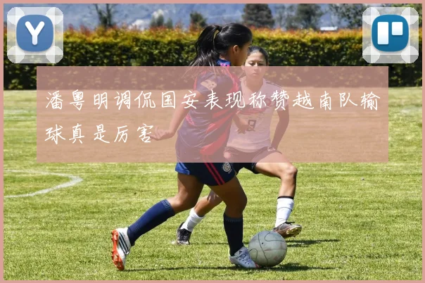 潘粤明调侃国安表现称赞越南队输球真是厉害
