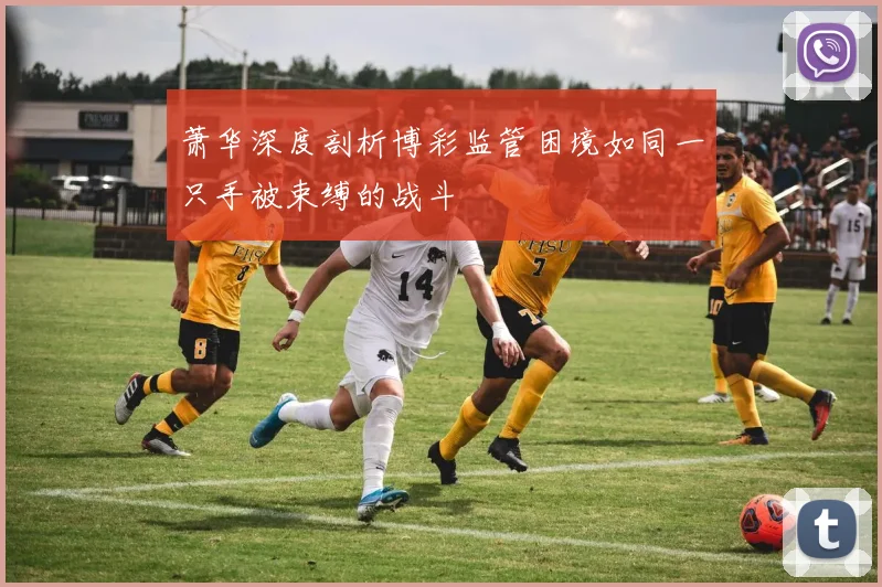 萧华深度剖析博彩监管困境如同一只手被束缚的战斗